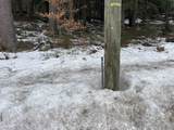 Lot 53 Apple Hill Road - Photo 6