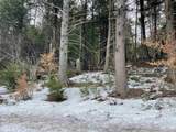 Lot 53 Apple Hill Road - Photo 7