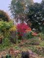 84 Charlotte Street - Photo 28