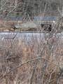 005-003 Greenfield Road - Photo 39