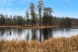 242 Villager Road - Photo 44