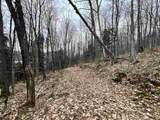 - Foliage Lane - Photo 46