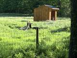 1502 Popple Dungeon Road - Photo 49