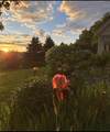 5118 Mack Mountain Road - Photo 1