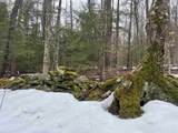 355 Bemis Hill Road - Photo 1