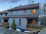 5 Black Bear Lane - Photo 1