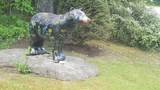 5 Black Bear Lane - Photo 52