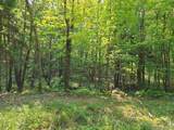 0 Pond Road - Photo 11