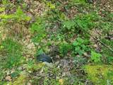 0 Pond Road - Photo 14