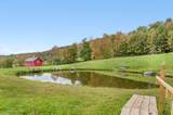 2067 Music Mountain Road - Photo 2