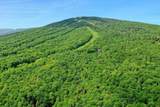 1300 Mountain Road - Photo 10