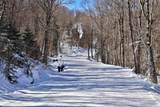 1300 Mountain Road - Photo 21