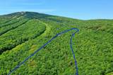 1300 Mountain Road - Photo 8