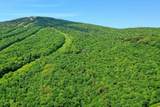 1300 Mountain Road - Photo 9