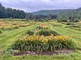 2263 Us Route 2 - Photo 10