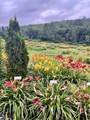 2263 Us Route 2 - Photo 21
