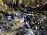 53 Rocky Road - Photo 7