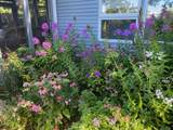 68 Sodom Road - Photo 12