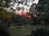 6 Sherwood Forest Road - Photo 57