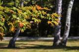 24 Vt Route 11 - Photo 49