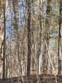 921 Coppermine Road - Photo 1