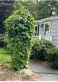 20 Wyman Road - Photo 39