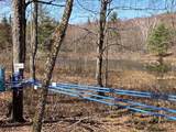 22 Rubaud Road - Photo 44