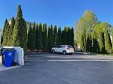 24 Malvern Street - Photo 2
