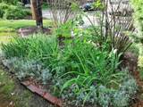 6 Davies Street - Photo 35