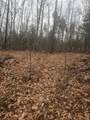 0 Attleboro Mountain Road - Photo 2