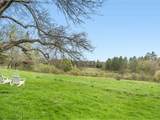 875 Sparrow Farm Road - Photo 46