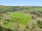 875 Sparrow Farm Road - Photo 5