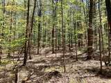 1118 Wildlife Road - Photo 51