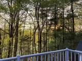 4 Skylark Terrace - Photo 42