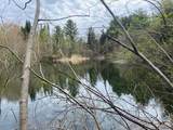 165 Spruce Lane - Photo 42
