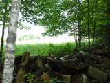 4 & 5 Forest Lane - Photo 4