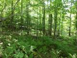 4 & 5 Forest Lane - Photo 8