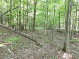 4 & 5 Forest Lane - Photo 9
