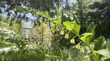 43 Gould Hill - Photo 51