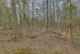 Map 8 Lot 22 Indian Pipe Road - Photo 13