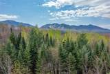 Map 8 Lot 22 Indian Pipe Road - Photo 20