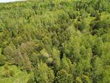  Tetreault Road - Photo 32
