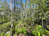 Map 202-Lot 39 Parker Road - Photo 18