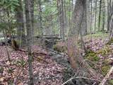 Map 202-Lot 39 Parker Road - Photo 20
