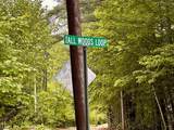 00 Tall Woods Loop - Photo 2