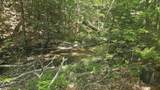 116 Newcomb Road - Photo 7