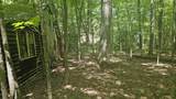 116 Newcomb Road - Photo 8