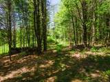 381 E Green Mountain Road - Photo 6