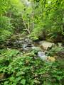 183 Bear Hill Road - Photo 44