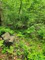 183 Bear Hill Road - Photo 45